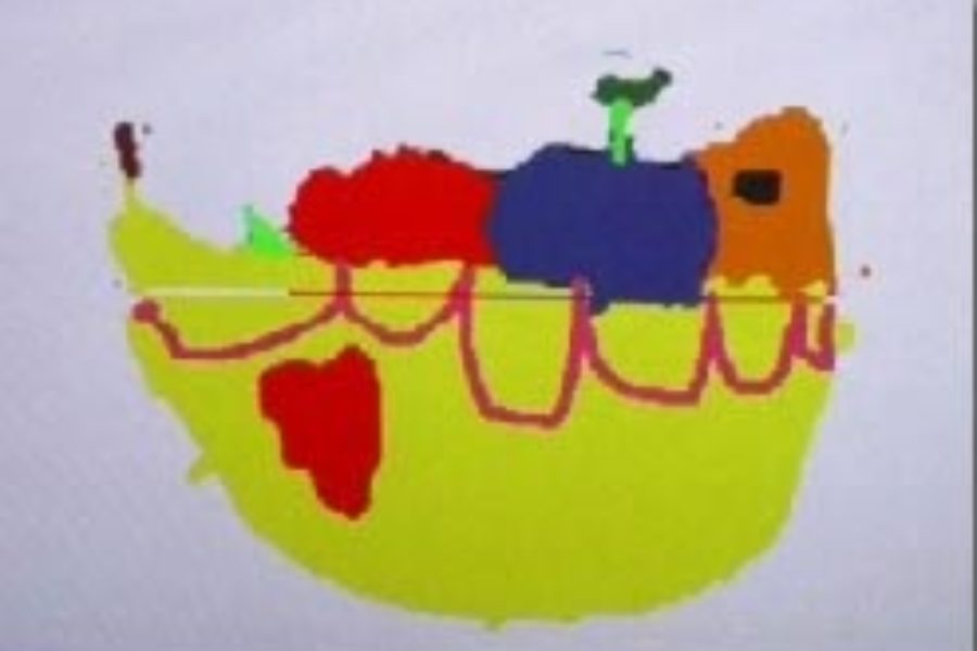 Hannas Fruit Bowl by Hanna Standerski from USA, 6 years old