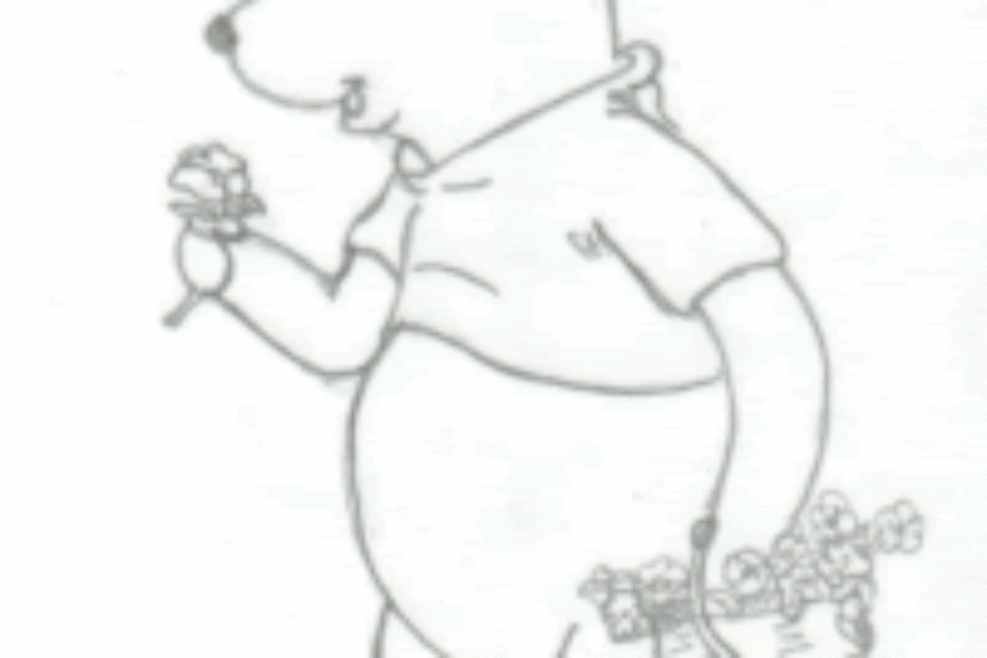 Pooh Bear by Stephanie H  from USA, 16 years old