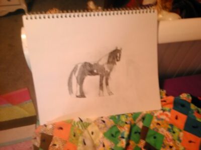 Horse by Isabelle Graham, 6 years old