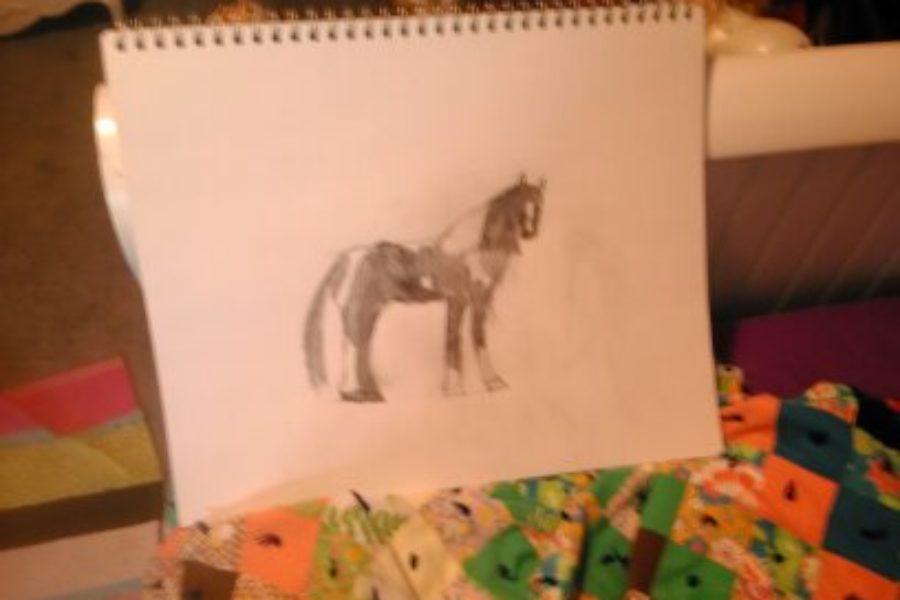 Horse by Isabelle Graham, 6 years old